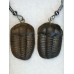 Naušnice z trilobita